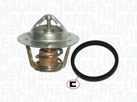Thermostat, coolant (352317100200)