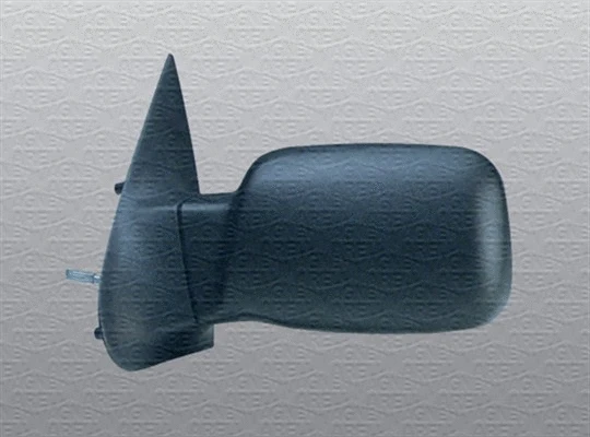 Exterior Mirror (351990109650)