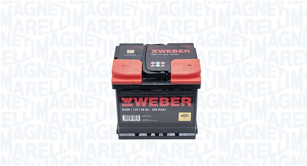 Starter Battery