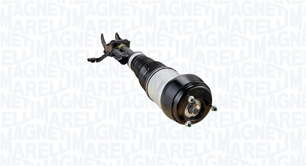 Air Suspension Strut (350040000001)