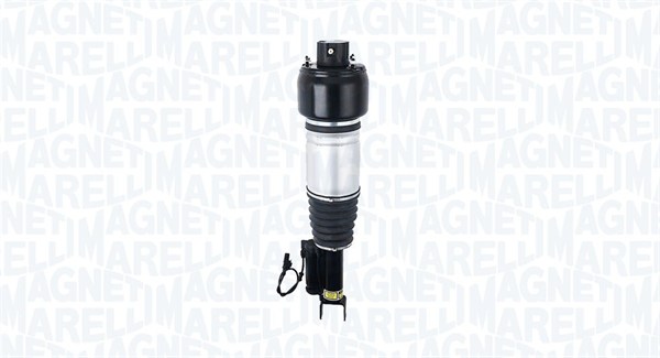 Air Suspension Strut (350551400001)