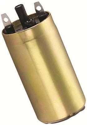 Fuel Pump (313011300071)