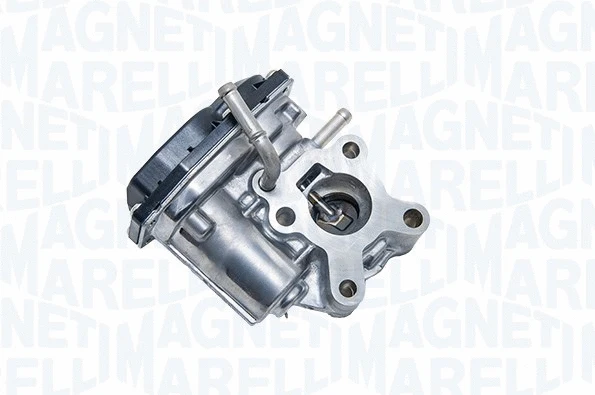EGR Valve (572022112002)