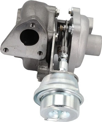 Charger, charging (supercharged/turbocharged) (807101000700)