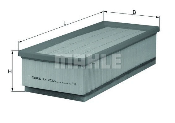 Air Filter (154703680100)