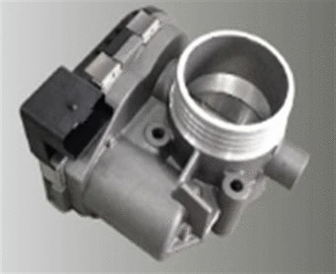 Throttle Body (359000602550)