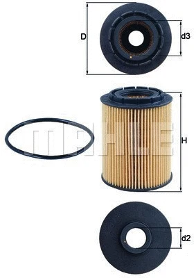 Oil Filter (154096556480)