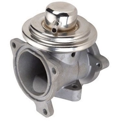EGR Valve (359000604080)