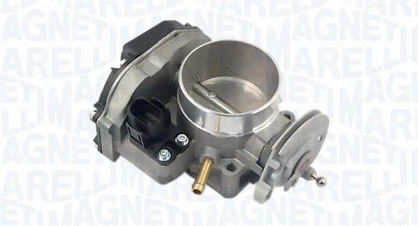 Throttle Body (802000000049)