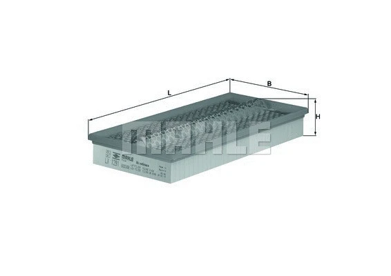 Air Filter (154066051090)