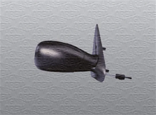 Exterior Mirror (351991107540)