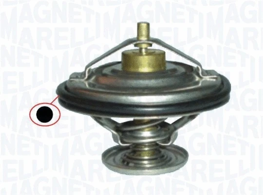 Thermostat, coolant (352317100120)