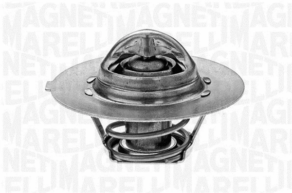 Thermostat, coolant (352020882000)