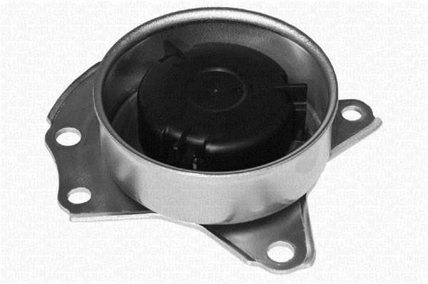 Water Pump, engine cooling (350982019000)
