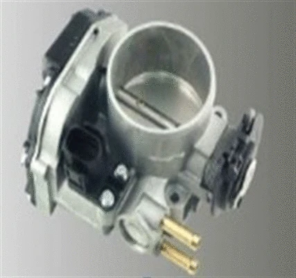 Throttle Body (359000602910)
