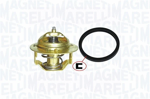 Thermostat, coolant (352317000590)