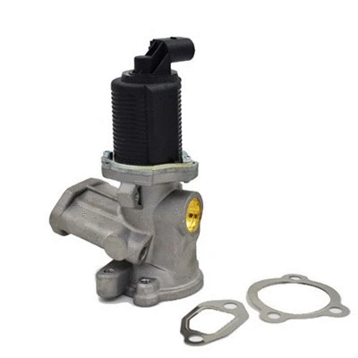 EGR Valve (571822112003)