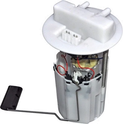 Fuel Supply Module (313011313018)