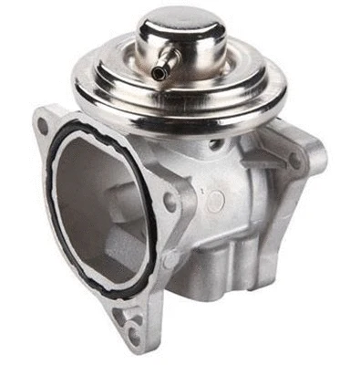 EGR Valve (359000603920)