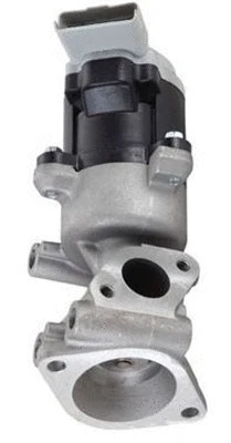 EGR Valve (359000604330)