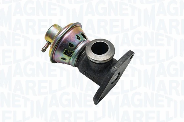 EGR Valve (572022112010)