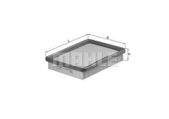 Air Filter (154084243500)