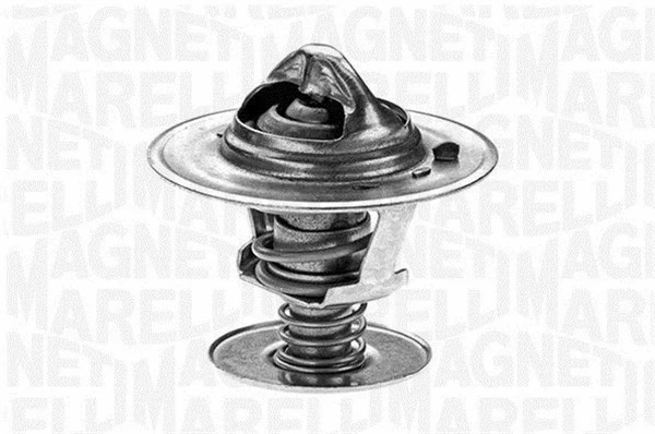 Thermostat, coolant (352027291000)