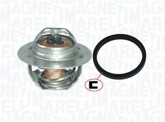 Thermostat, coolant (352317101090)