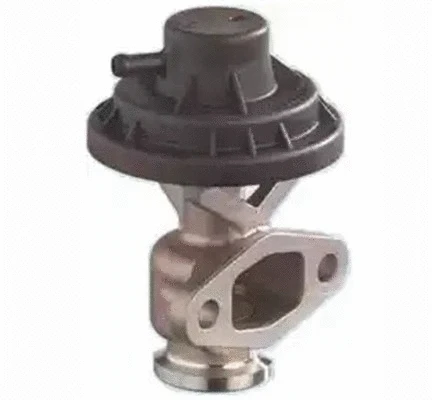 EGR Valve (571822112156)
