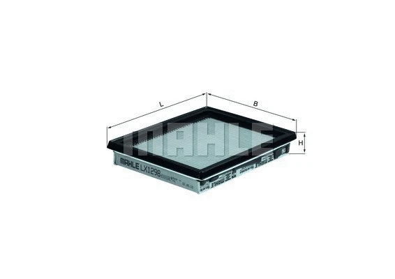 Air Filter (154066000500)