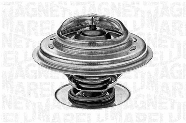 Thermostat, coolant (352024883000)