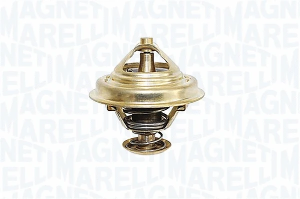 Thermostat, coolant (352317000290)