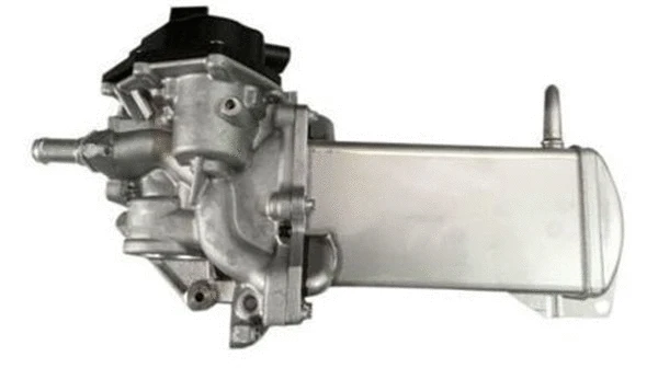 EGR Valve (359000604070)