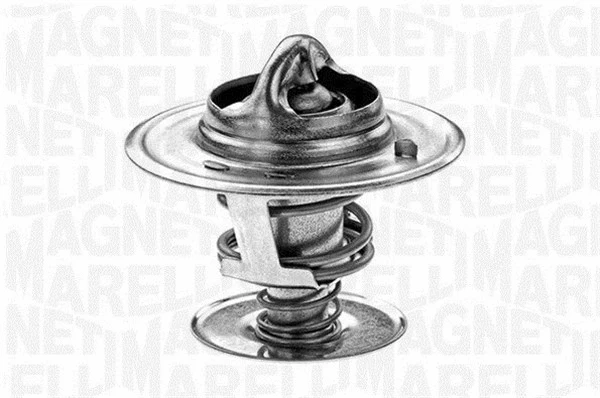 Thermostat, coolant (352023491110)