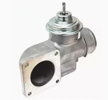 EGR Valve (571822112155)