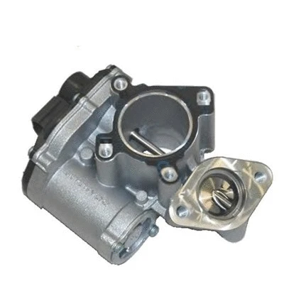 EGR Valve (571822112043)