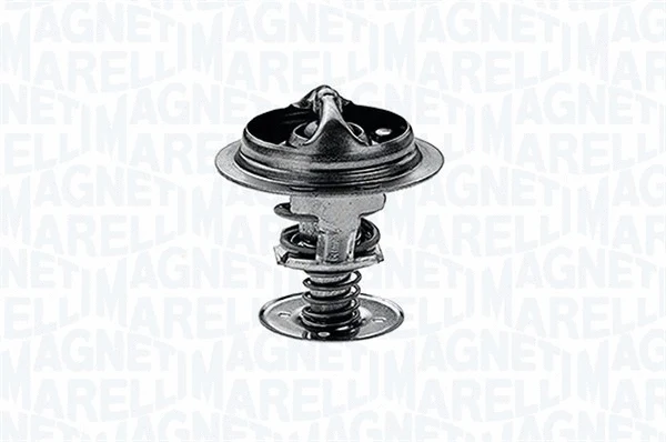 Thermostat, coolant (352035488000)