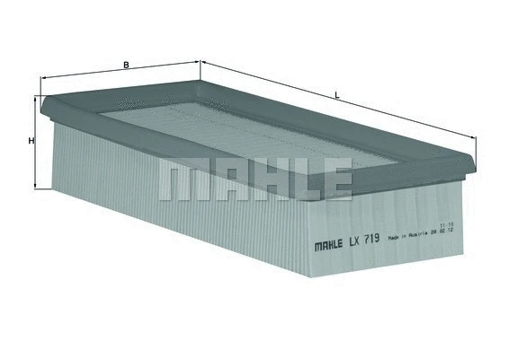 Air Filter (154096907020)