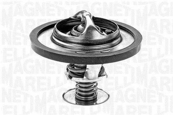 Thermostat, coolant (352053482000)