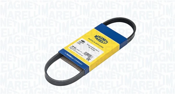 V-Ribbed Belt (341200005790)