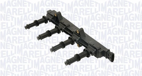 Ignition Coil (060810170010)