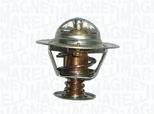 Thermostat, coolant (352317003900)