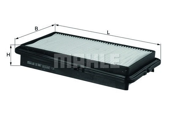 Air Filter (154096310030)