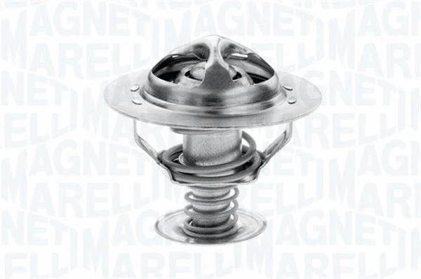 Thermostat, coolant (352054682000)