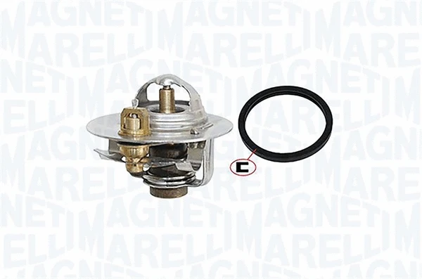 Thermostat, coolant (352317000780)
