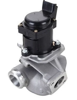EGR Valve (359000604310)