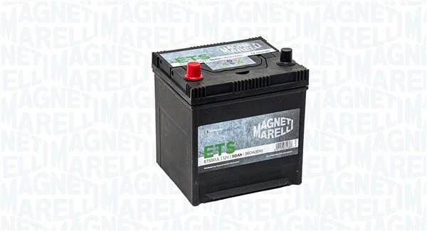 Starter Battery