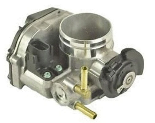Throttle Body (359000602830)