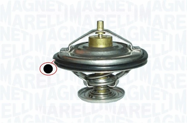 Thermostat, coolant (352317000130)