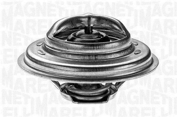 Thermostat, coolant (352027183000)